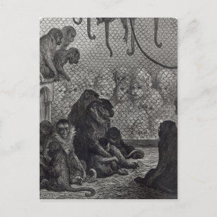 Cartão Postal Macacos de Londres