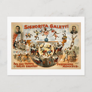 Cartão Postal Macacos de maior desempenho do mundo em 1892