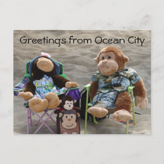 Cartão Postal Macacos de Praia