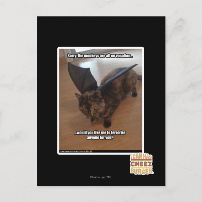 Cartão Postal Macacos em férias (Frente)