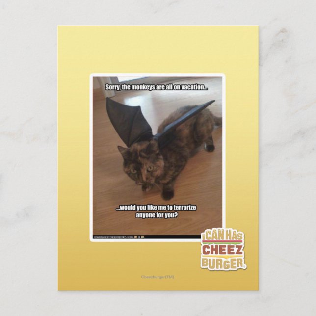 Cartão Postal Macacos em férias (Frente)