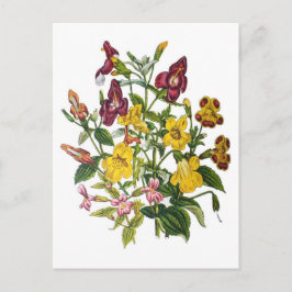 Cartão Postal Macacos-flores