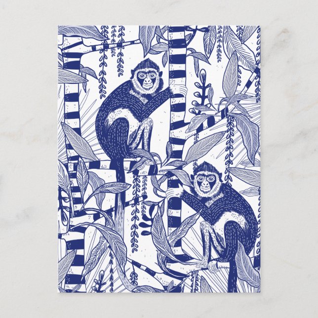 Cartão Postal Macacos na Selva (Frente)