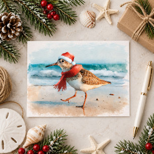 Cartão Postal Maçarico-de-natal na Praia
