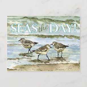 Cartão Postal Maçaricos praia aquarela