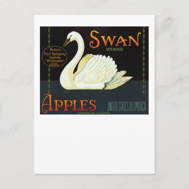 Cartão Postal Maçãs de Marca Swan (Frente)