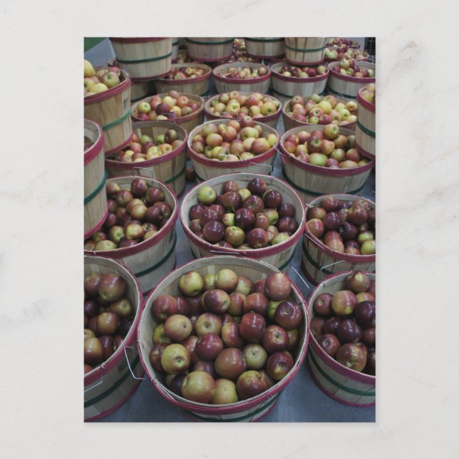 Cartão Postal Maçãs de outono (Frente)