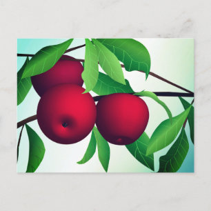 Cartão Postal "Maçãs em um Ramo"