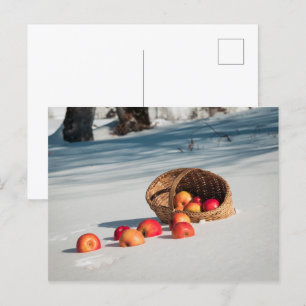 Cartão Postal Maçãs na neve