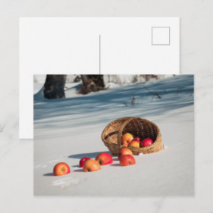 Cartão Postal Maçãs na neve