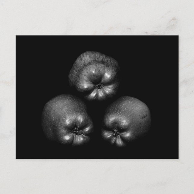 Cartão Postal Maçãs - Simples diversão Elegante de Belas Artes C (Frente)