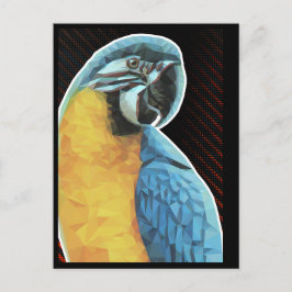 Cartão Postal Macaw de Poly Baixo