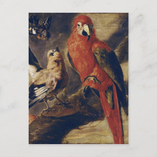 Cartão Postal Macaw e Bullfinch