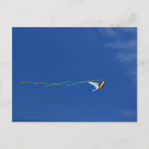 Cartão Postal Macaw Kite