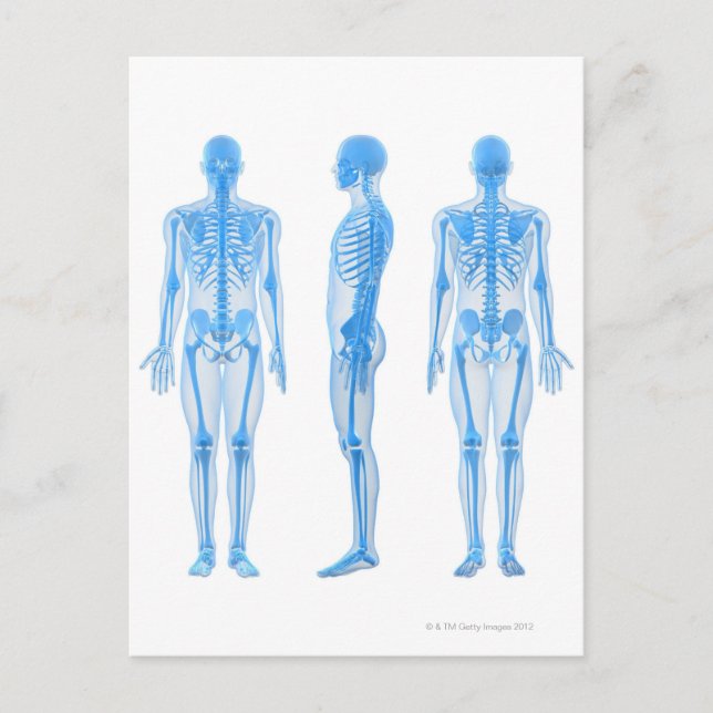 Cartão Postal Macho Skeleton (Frente)