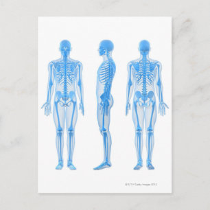 Cartão Postal Macho Skeleton