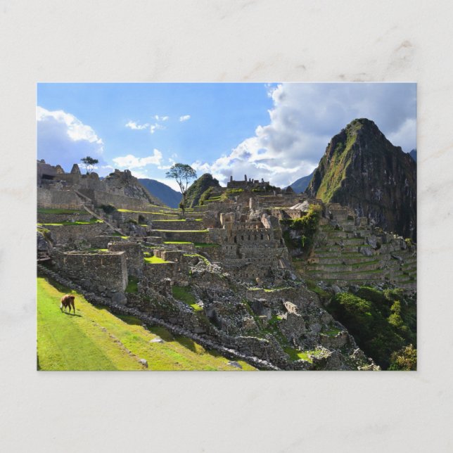 Cartão Postal Machu Picchu Tarde, Peru (Frente)