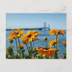 Cartão Postal Mackinac Bridge Olhos Negros