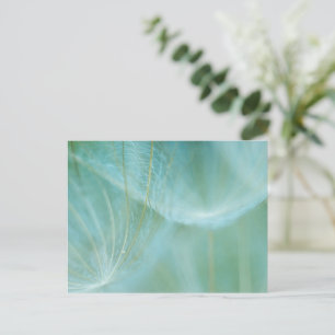 Cartão Postal macro Dandelion