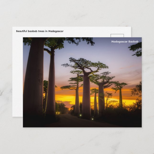 Cartão postal Madagáscar (Frente/Verso)