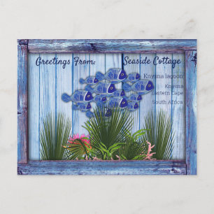 Cartão Postal Madeira Azul Vintage, Peixes, Coral Rosa