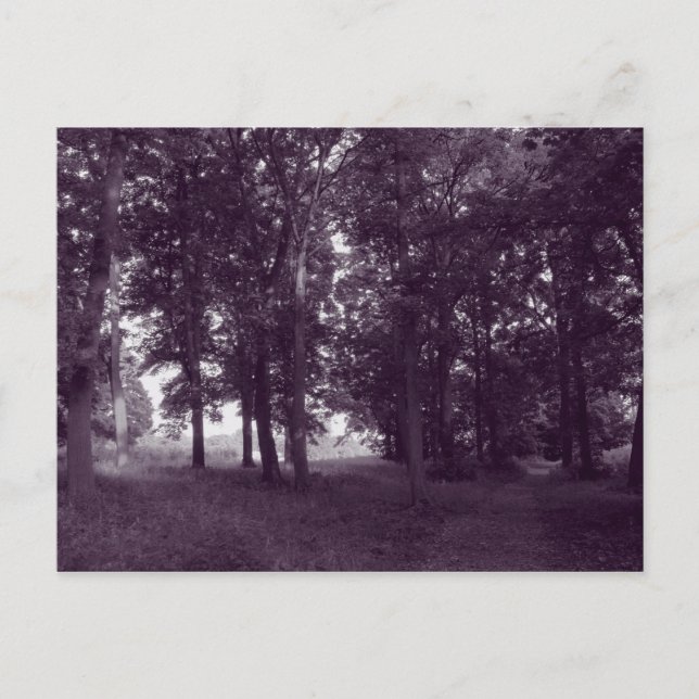 Cartão Postal Madeira, Bute Park Cardiff - Tom tonal roxo (Frente)