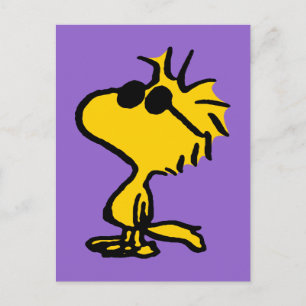 Cartão Postal Madeira Em Óculos De Sol