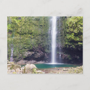 Cartão Postal Madeira - Levada do Caldeirao Verde