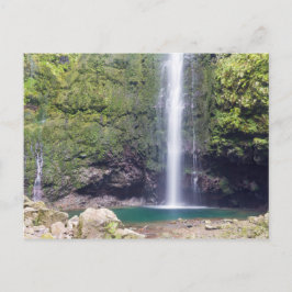 Cartão Postal Madeira - Levada do Caldeirao Verde