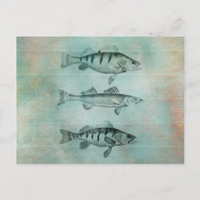 Cartão Postal Madeira texturizada Peixe Design (Frente)