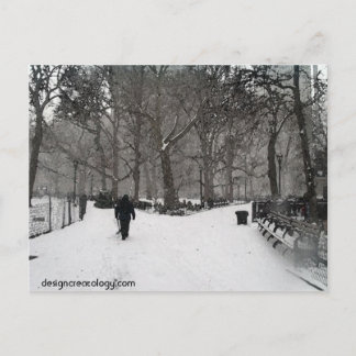 Cartão Postal Madison Square Garden