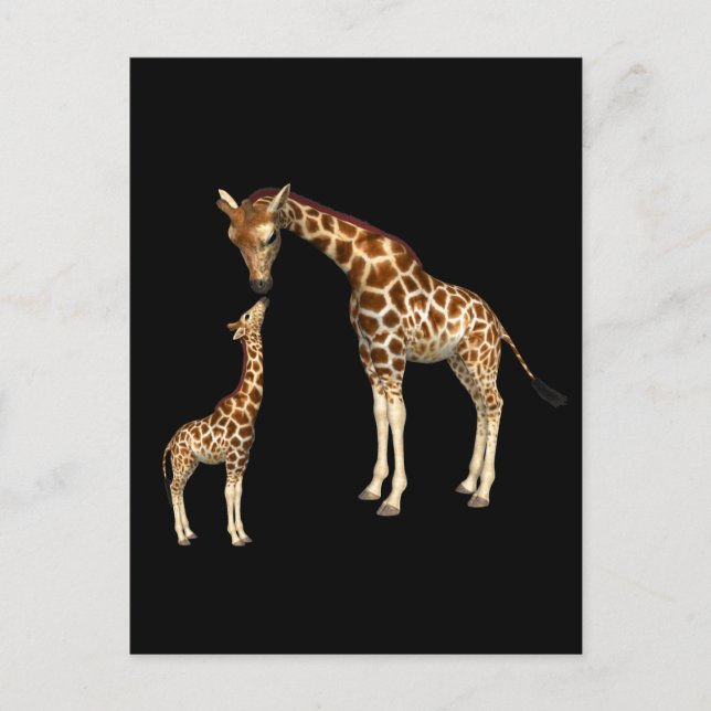 Cartão Postal Madre Giraffe e Baby Giraffe (Frente)