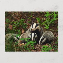 Cartão Postal Mãe com o texugo do bebê