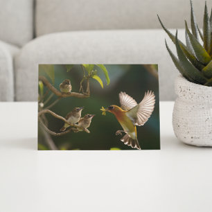 Cartão Postal Mãe de beija-flor comida acima