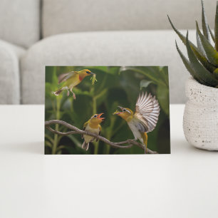 Cartão Postal Mãe de beija-flor elegantemente empoleirada 