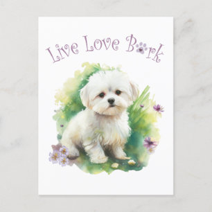 Cartão Postal Mãe de Cachorro Bichon Floral