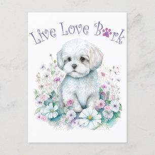 Cartão Postal Mãe de Cachorro Maltês Floral
