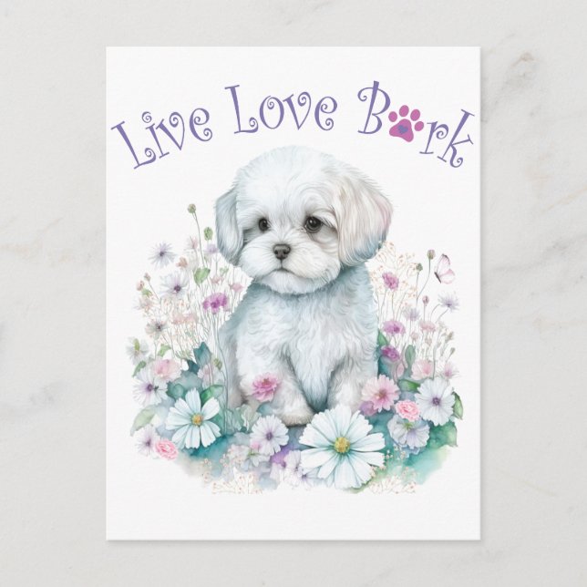 Cartão Postal Mãe de Cachorro Maltês Floral (Frente)