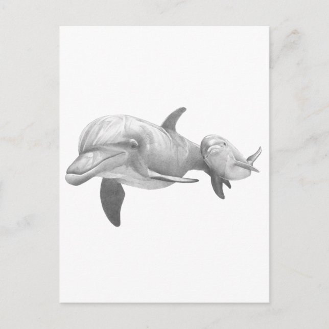 CARTÃO POSTAL MÃE DOLFINAS AMOR (Frente)
