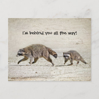Cartão Postal Mãe e Bebê Raccoon