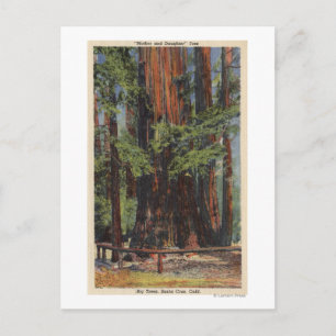 Cartão Postal "Mãe" e "Filha" no Parque das Grandes Árvores
