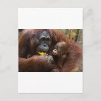 Cartão Postal Mãe e filho