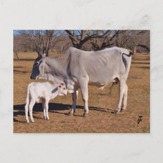 Cartão Postal Mãe e Filho