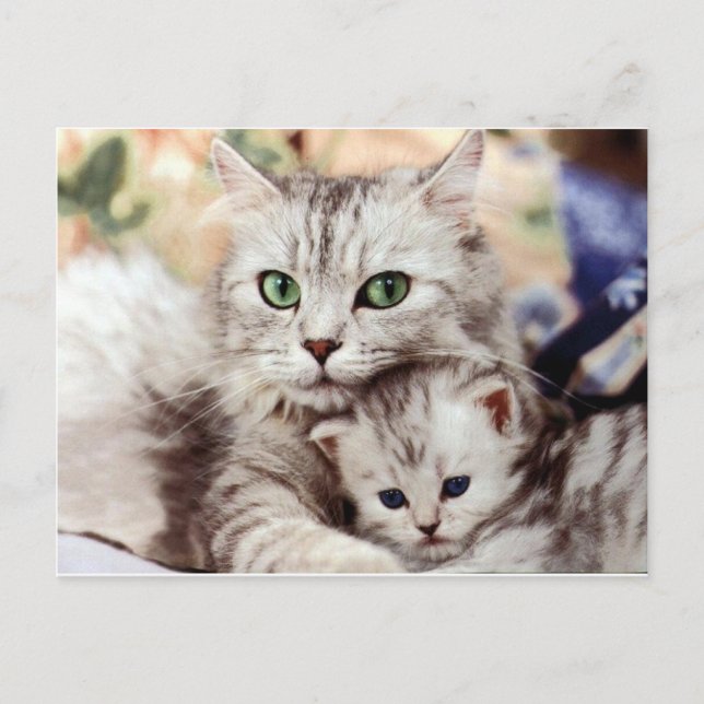 Cartão Postal Mãe e Filho (Frente)