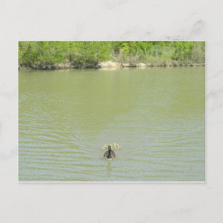 Cartão Postal Mãe Goose e seus bebês