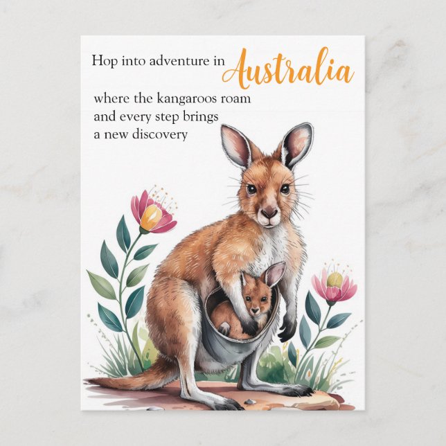 Cartão Postal Mãe Kangaroo (Frente)