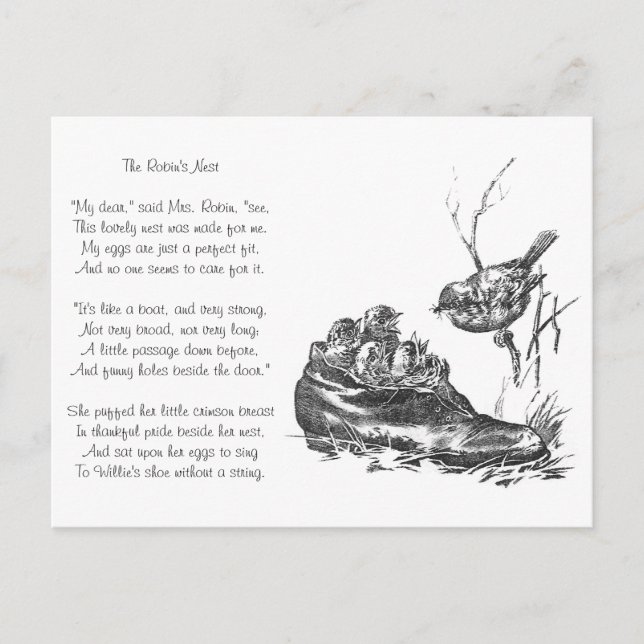 Cartão Postal Mãe Robin e seus bebês em um Calçado (Frente)