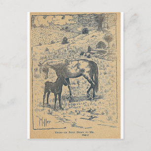 Cartão Postal Mãe se inclinou para mim Black Beauty