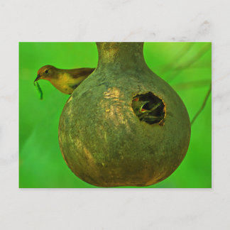 Cartão Postal Mãe, sei que está aqui