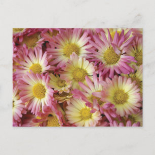 Cartão Postal Mães